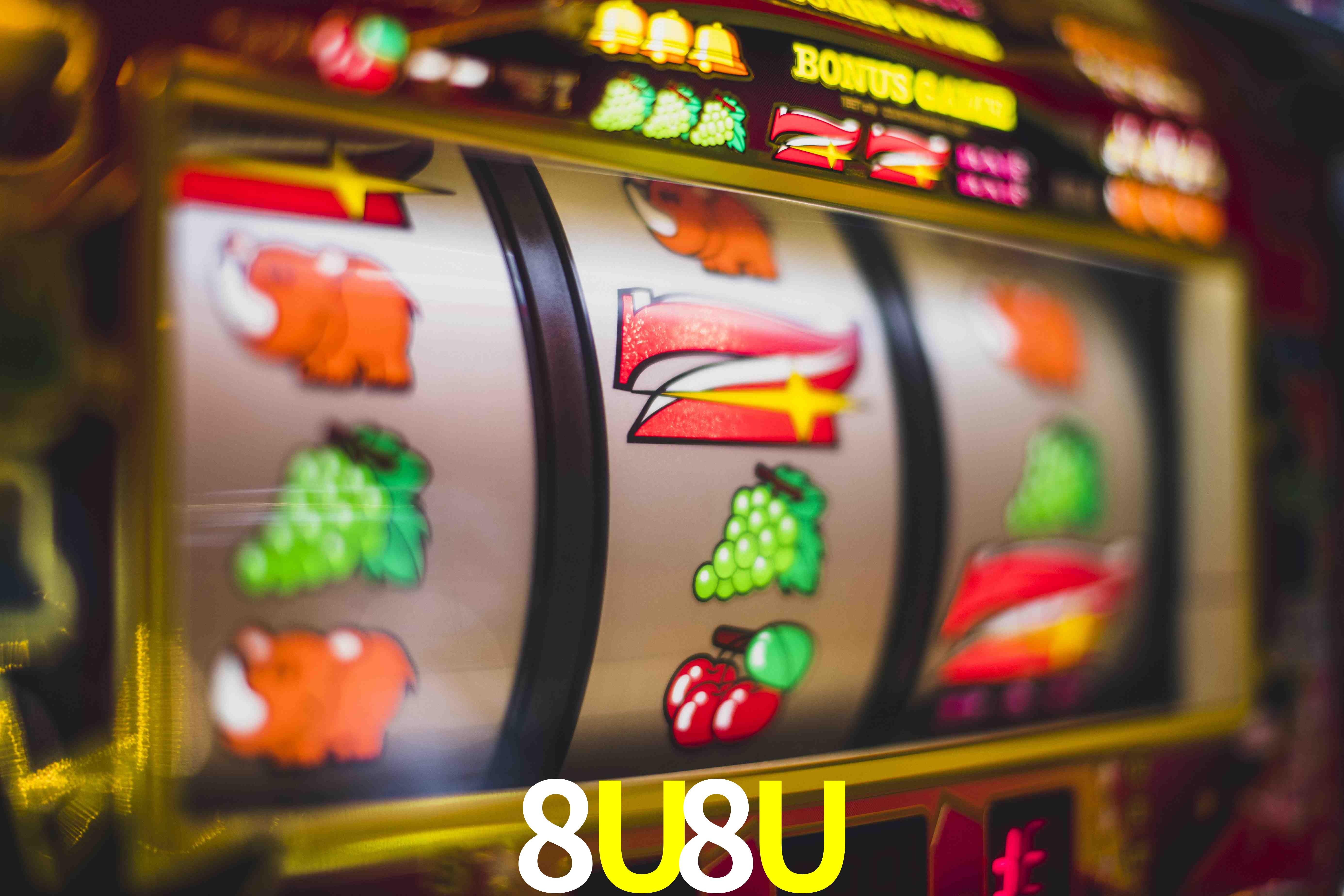 VIP Casino 8U8U